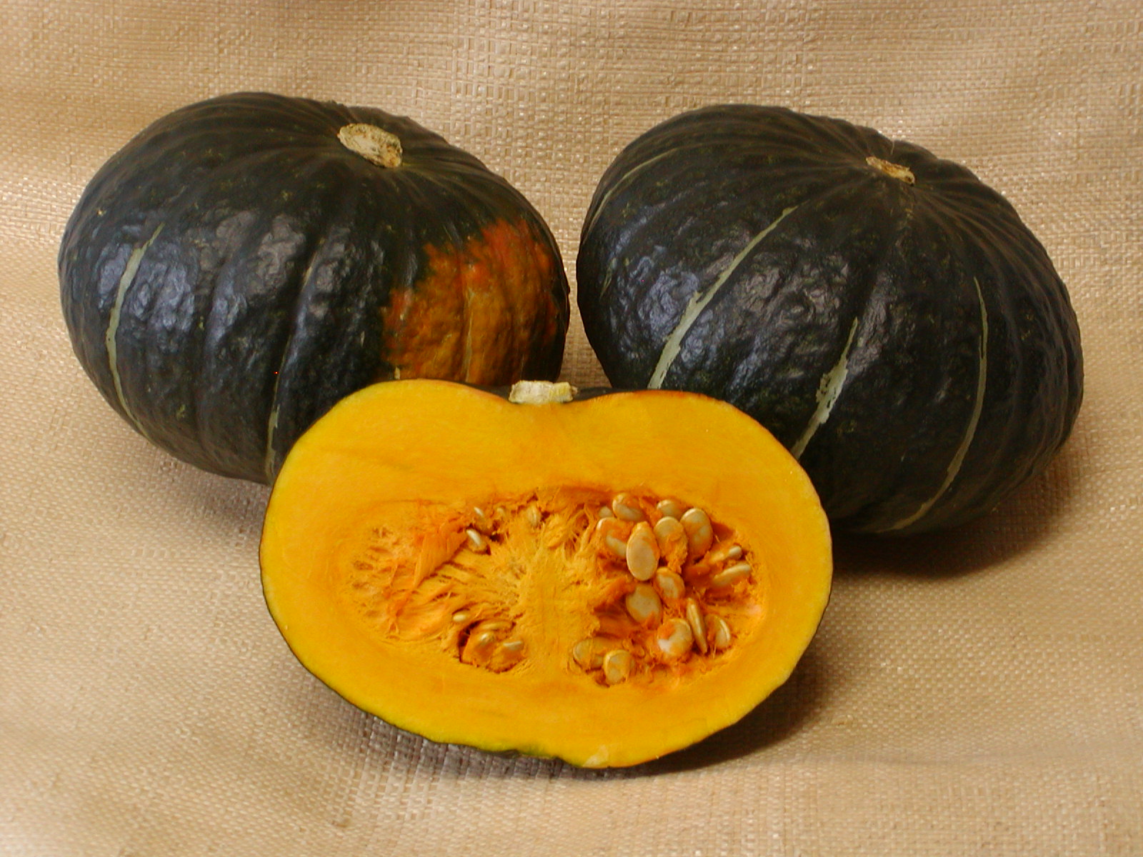 とことんかぼちゃ　中３玉入