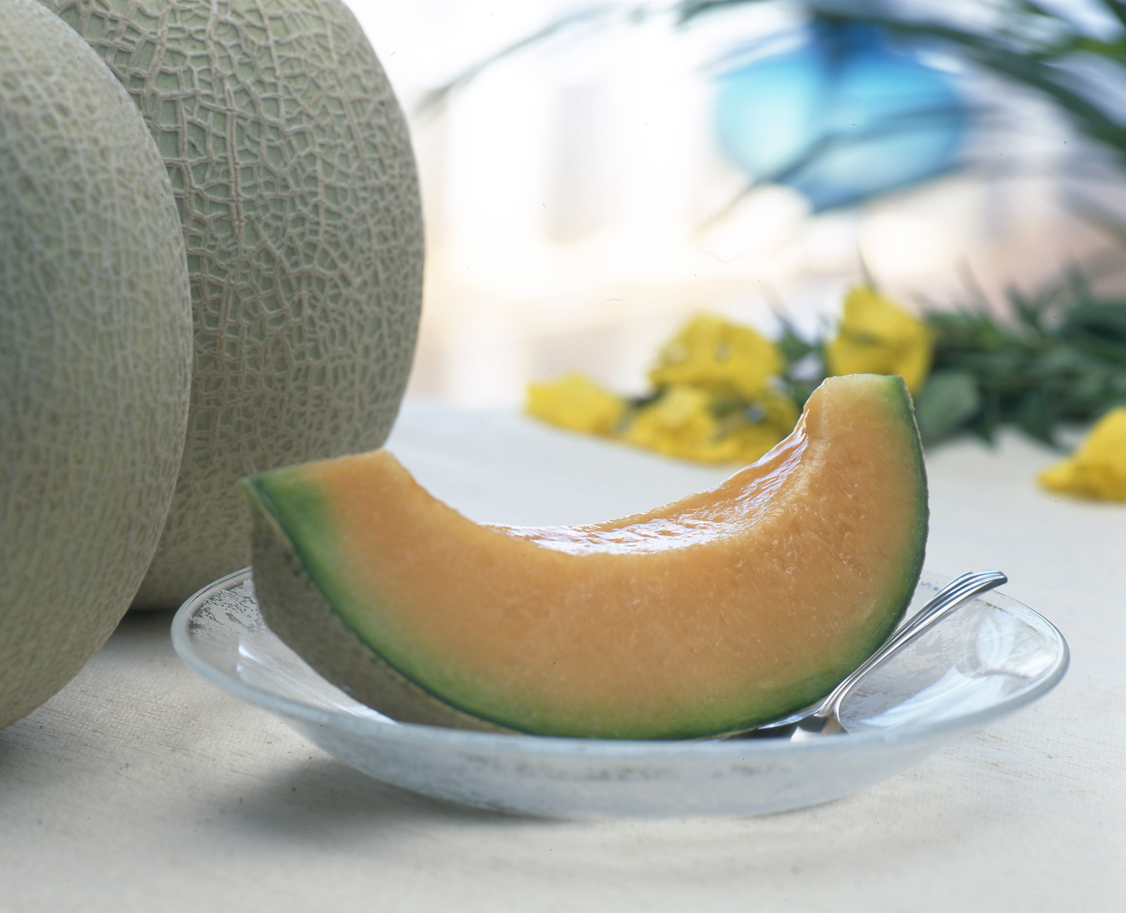 夕張日原メロン（キング）１玉約1.5kg前後