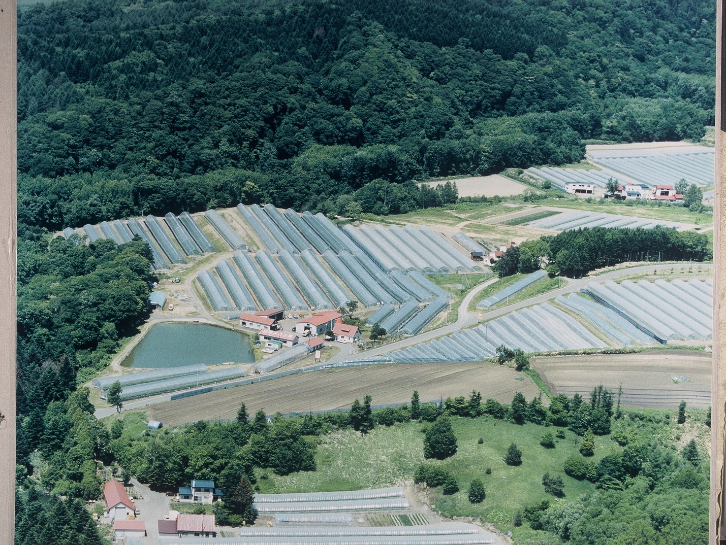 有限会社　北海道日原